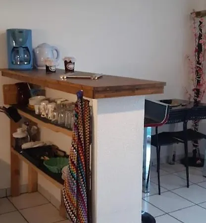 Climatise T1 Bis Metro A 200 M アパート トゥールーズ